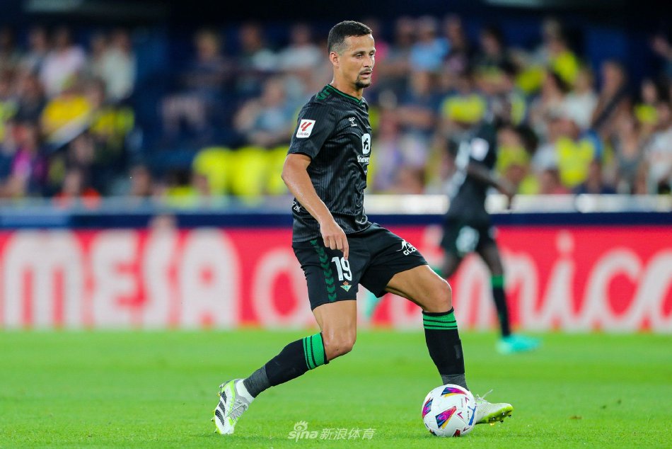 一种肯定 一种肯定